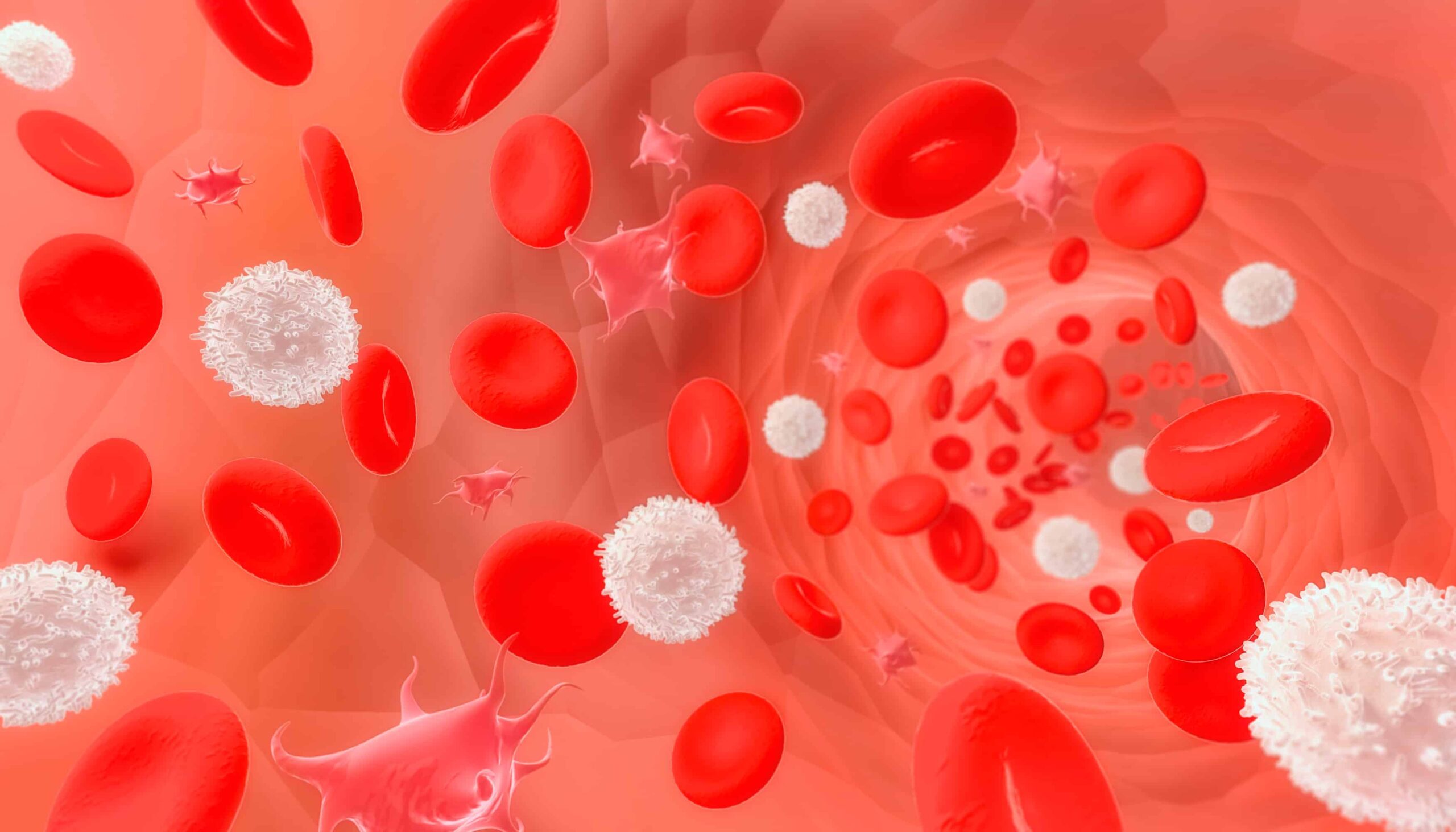 Red and white blood cells and platelets flowing through a vessel