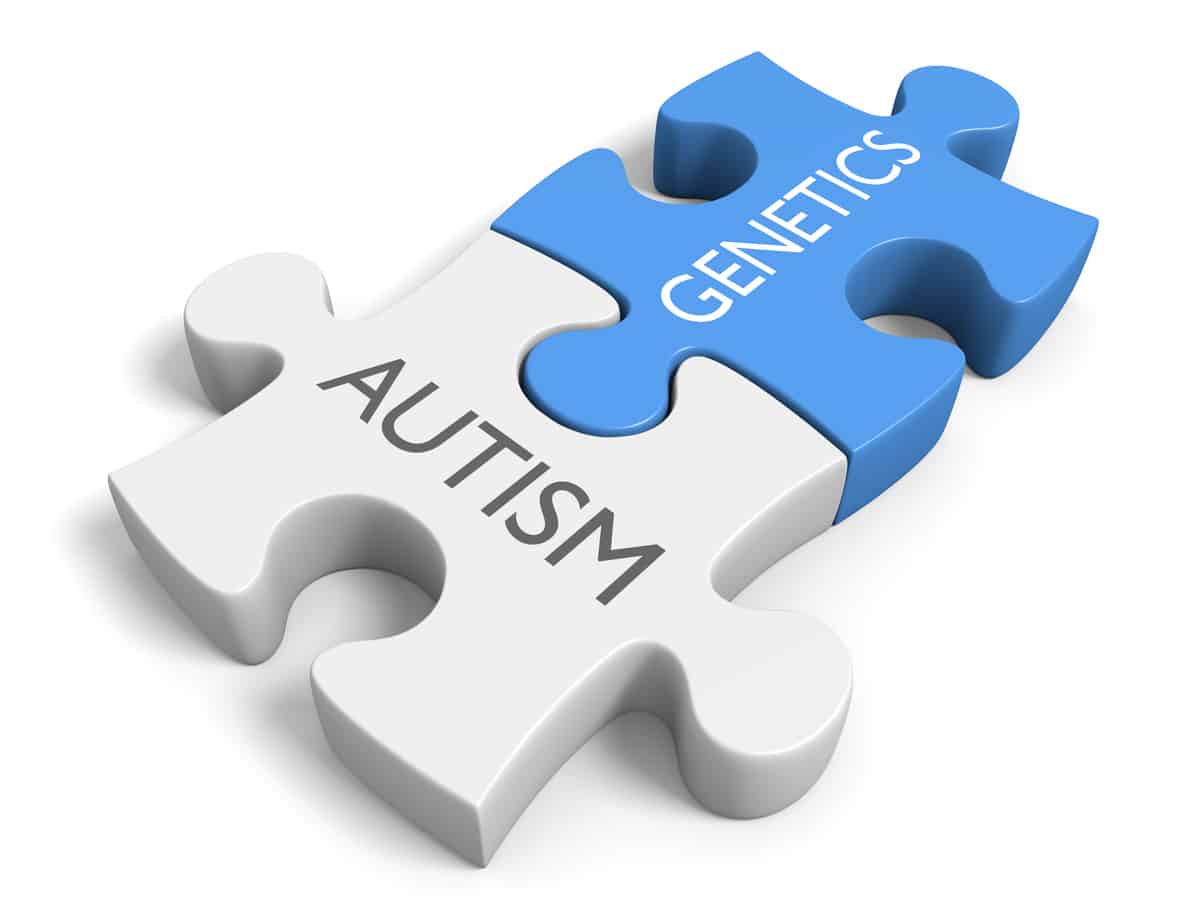 The link between genetics and the mental disorder autism genetics