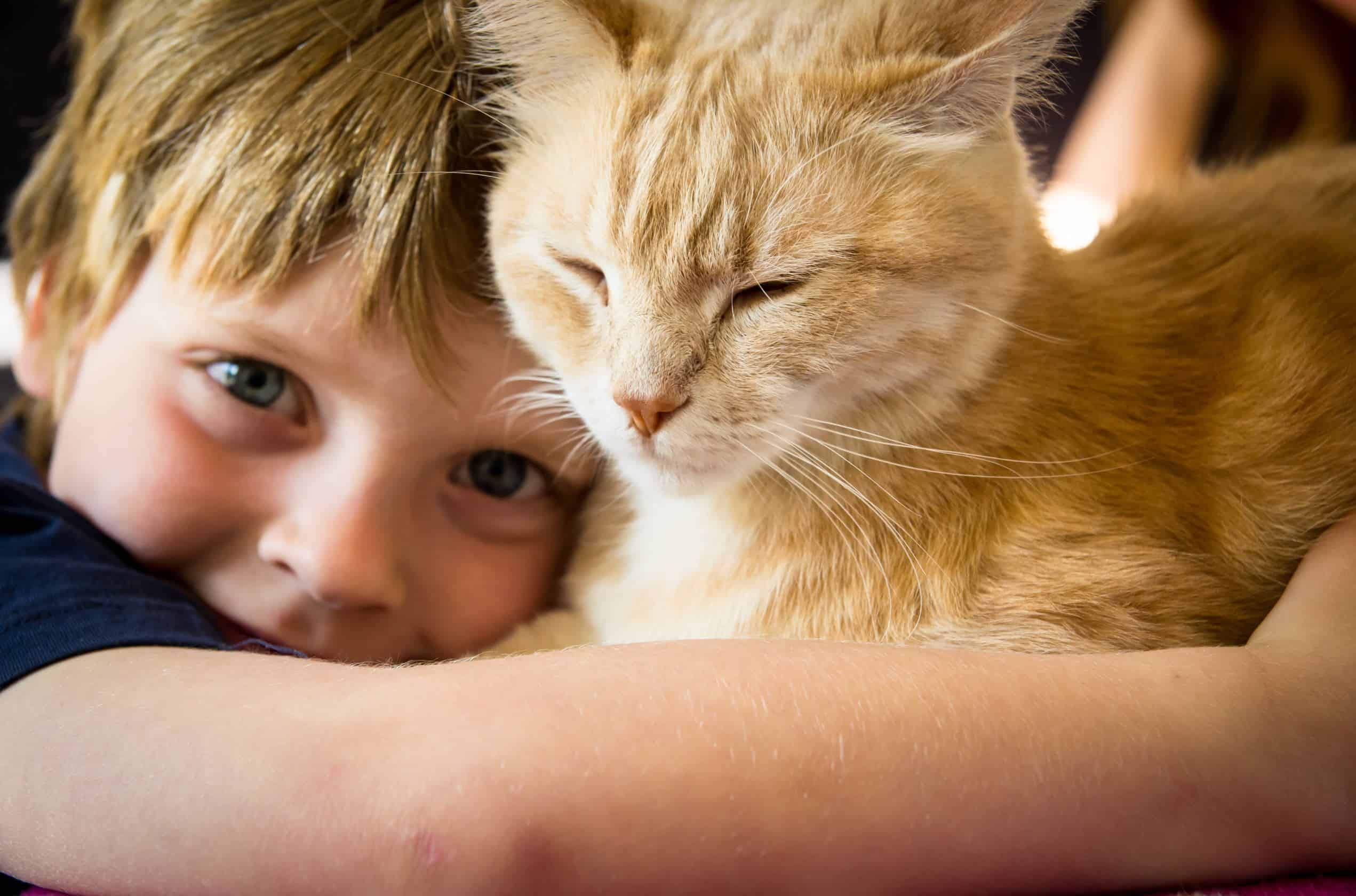 cats and kids small