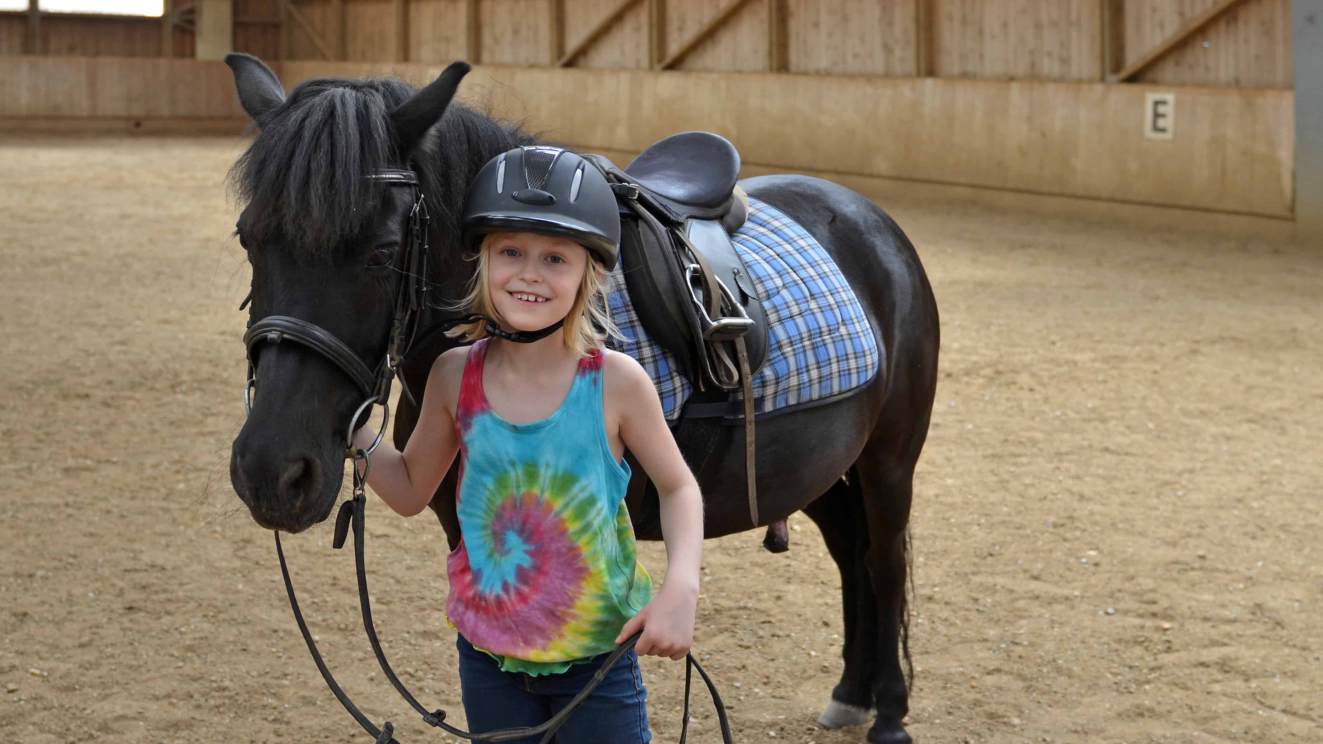 hippotherapy horse therapy, horse therapy autism