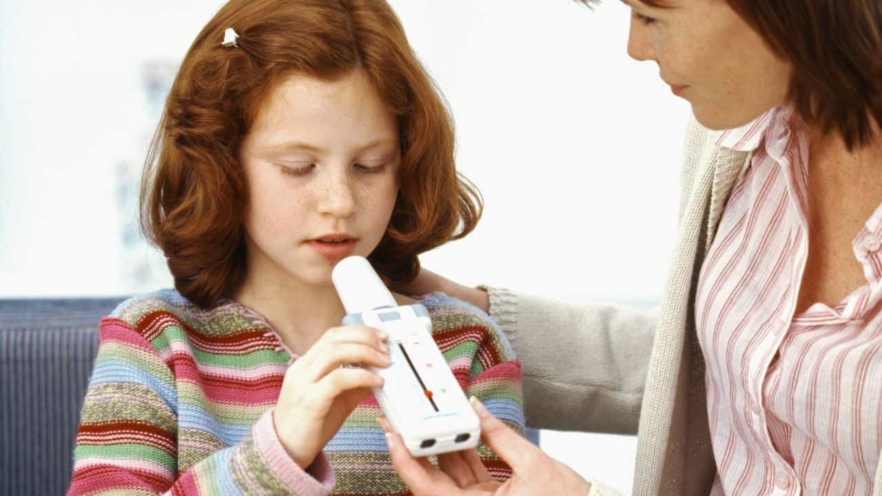 peak flow meter